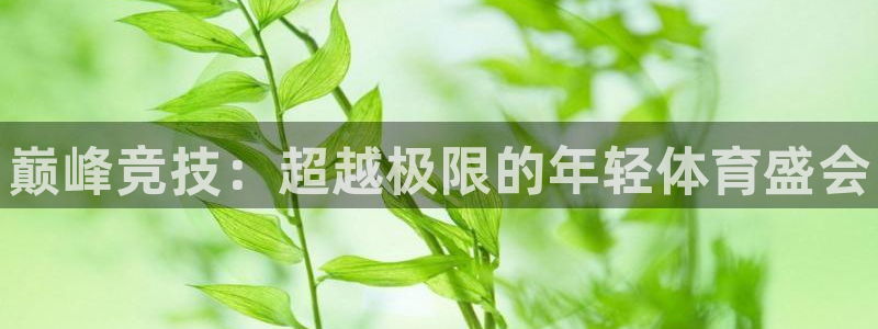 3377体育官网下载平台是正规平台吗知乎：巅峰竞技：