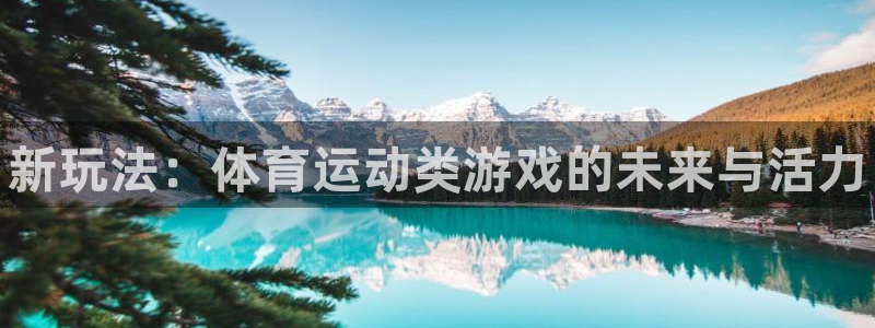 3377体育官方正版app集团官网首页：新玩法：体育
