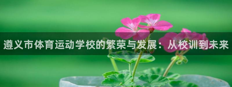 3377体育官网下载招商电话
