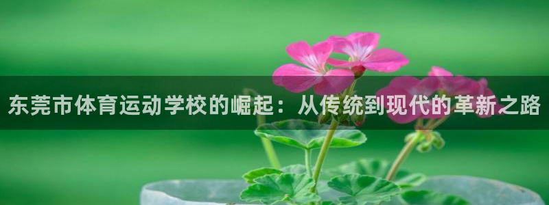 3377体育官方正版app娱乐首页官网下载：东莞市体