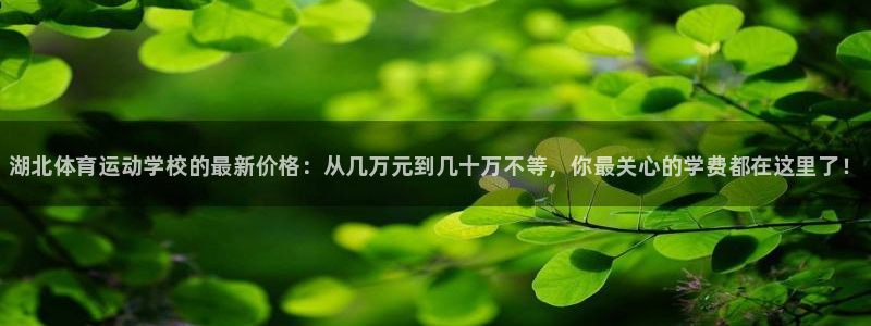 3377体育官网下载注册：湖北体育运动学校的最新价格