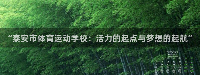 3377体育官方正版app科技：“泰安市体育运动学校
