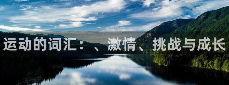 3377体育官方正版app官网