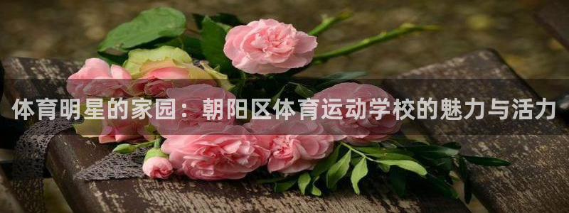 3377体育官方正版app集团简介：体育明星的家园：
