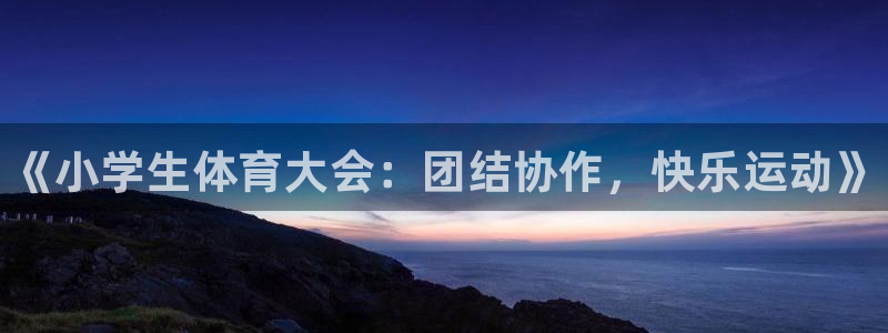 3377体育官方正版app集团：《小学生体育大会：团结协作，