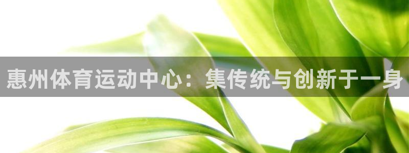 3377体育官方正版app娱乐