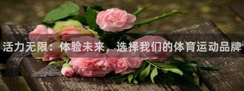 海南3377体育官网下载：活力无限：体验未来，选择我们的体育