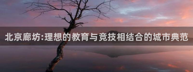 3377体育官方正版app代理：北京廊坊:理想的教育