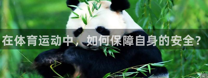 3377体育官方正版app娱乐下载：在体育运动中，如