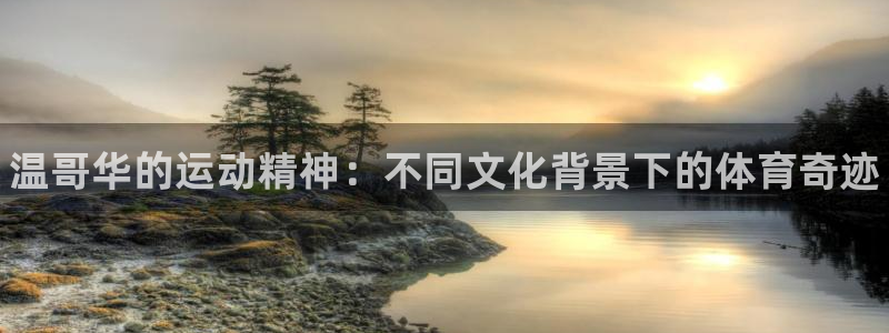 3377体育官网下载招商电话是多少啊：温哥华的运动精神：不同