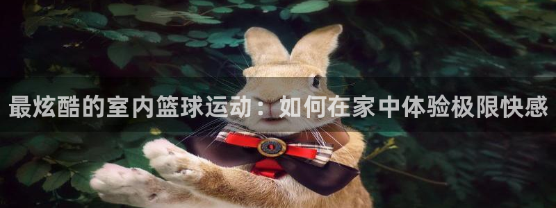 3377体育官网下载平台假的吗是真的吗：最炫酷的室内篮球运动