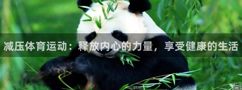 3377体育官网下载招商电话地址：减压体育运动：释放