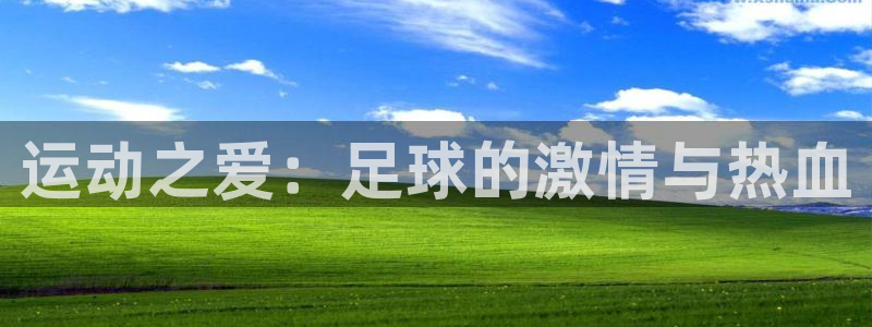 3377体育官网下载开户
