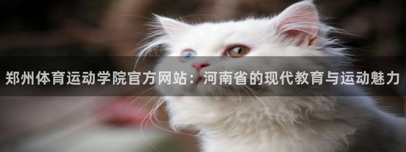 3377体育官方正版app新能源：郑州体育运动学院官方网站：