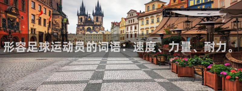 3377体育官方正版app集团官网网址：形容足球运动员的词语