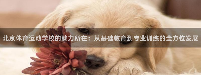 3377体育被国家取消了吗今天：北京
