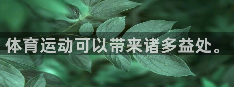 3377体育平台正规吗怎么样：体育运