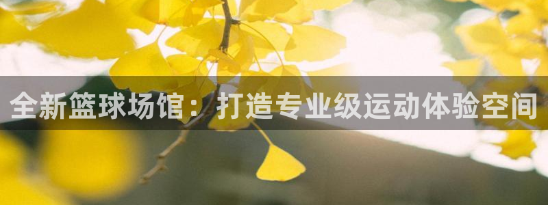 3377体育最害怕三个东西：全新篮球场馆：打造专业级运动体验