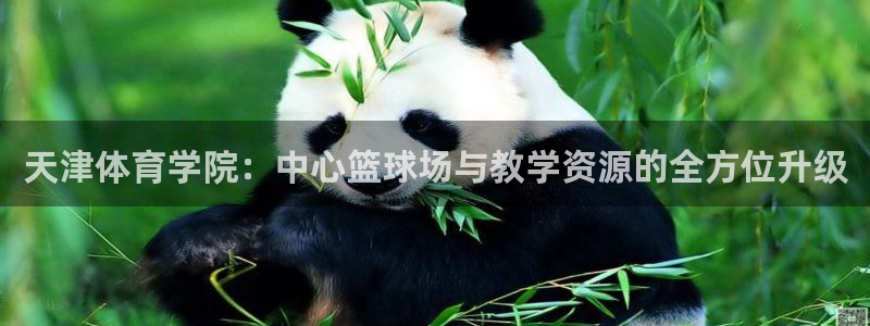  3377体育游戏：天津体育学院：中心篮球场与教学资源的全方位
