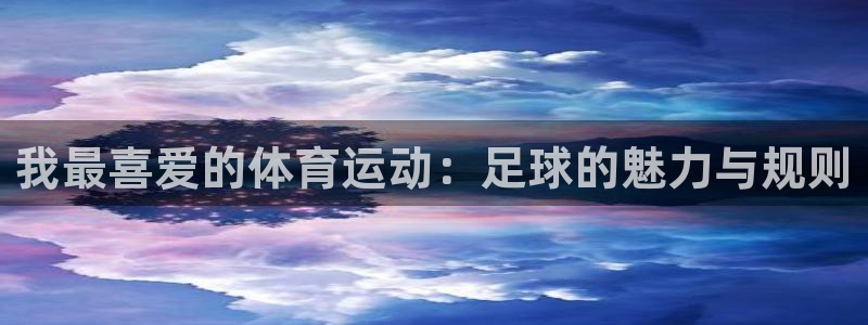 3377体育是哪的：我最喜爱的体育运