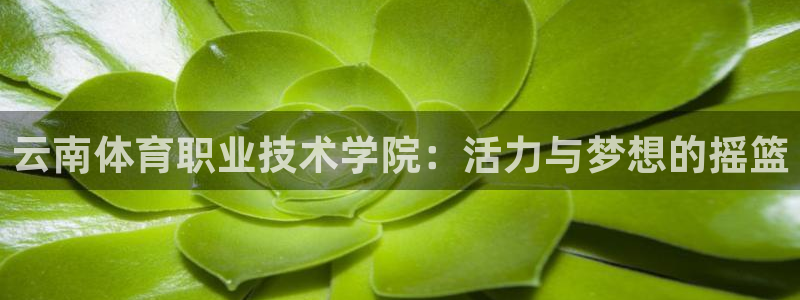 3377体育有风险吗：云南体育职业技