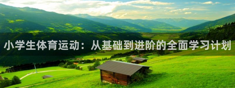  3377体育现在叫什么：小学生体育运动：从基础到进阶的全面学