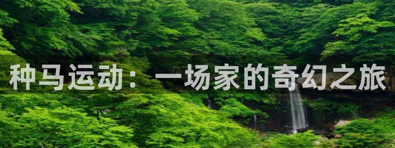 3377体育官方正版app娱乐首页网站大全：种马运动
