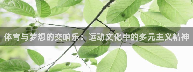 3377体育官网下载招商电话地址是多少