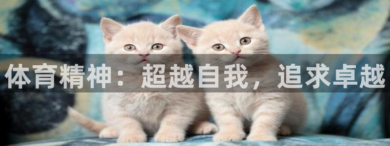 3377体育官网下载软件