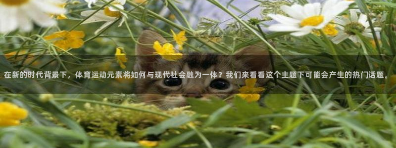 3377体育官网下载是干嘛的公司：在新的时代背景下，