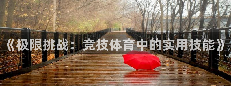 3377体育官网下载软件