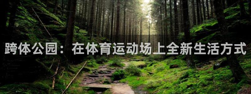 德国3377体育官方正版app集团:跨体公园:在体育运动场上